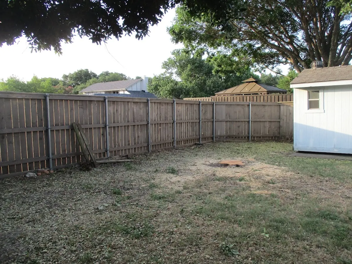 Cleared yard after professional tree removal in Westdale